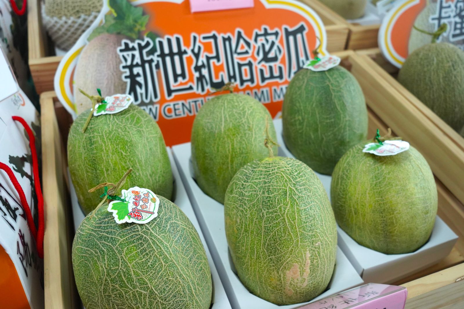 圖一  宜蘭哈密瓜