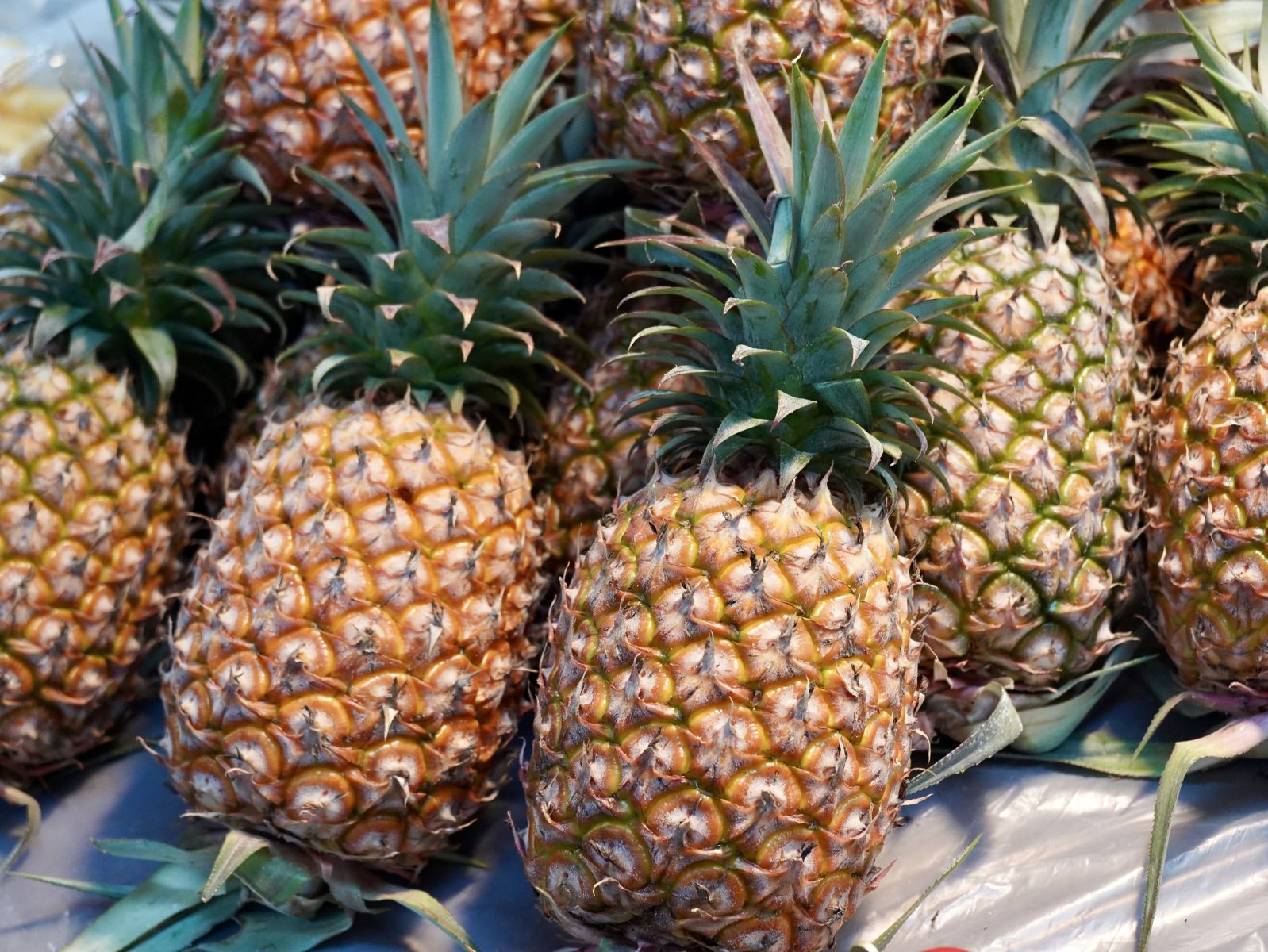 圖一 臺南鳳梨新鮮直送