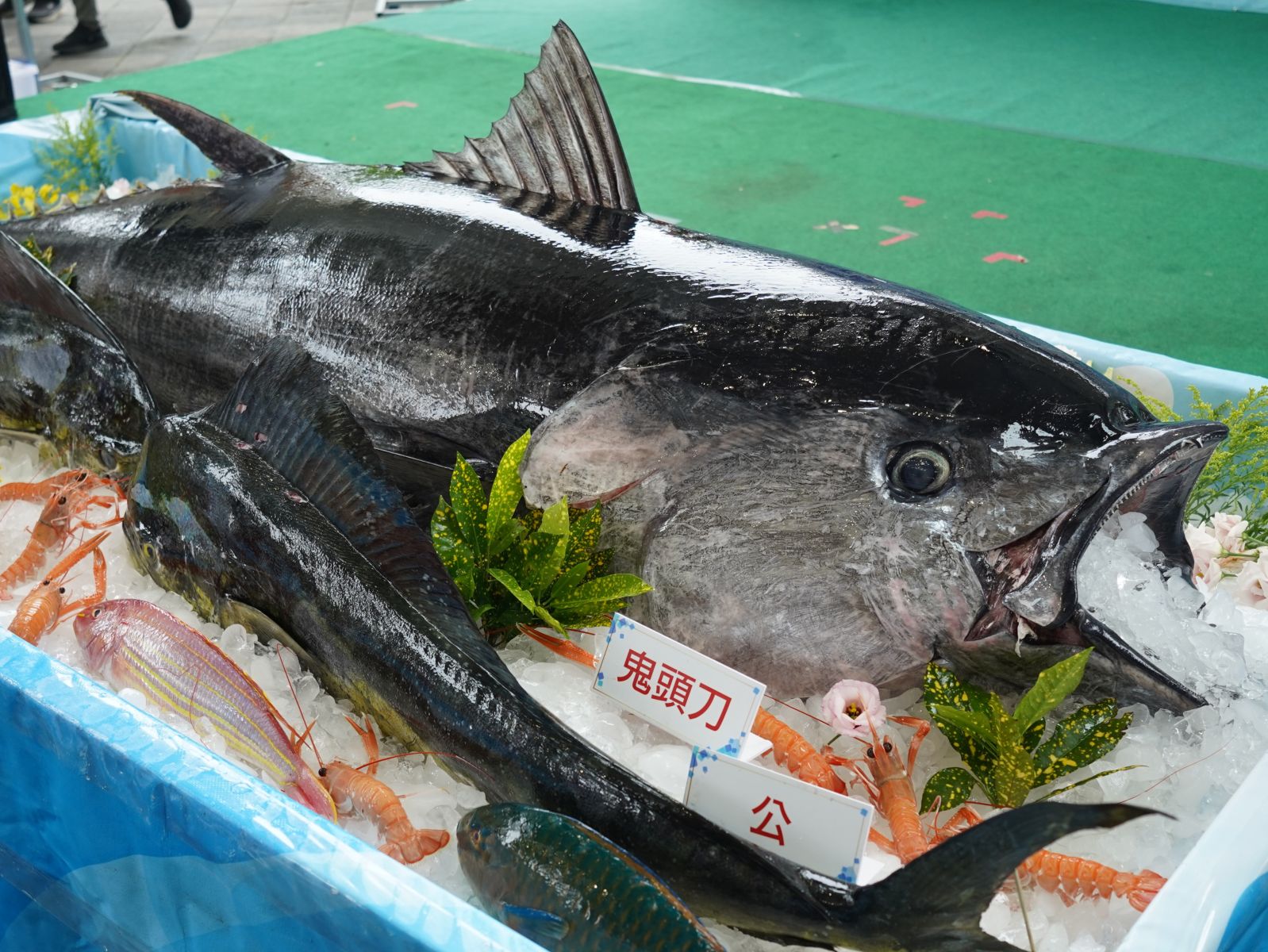 圖一 蘇澳區漁會推廣漁獲產品