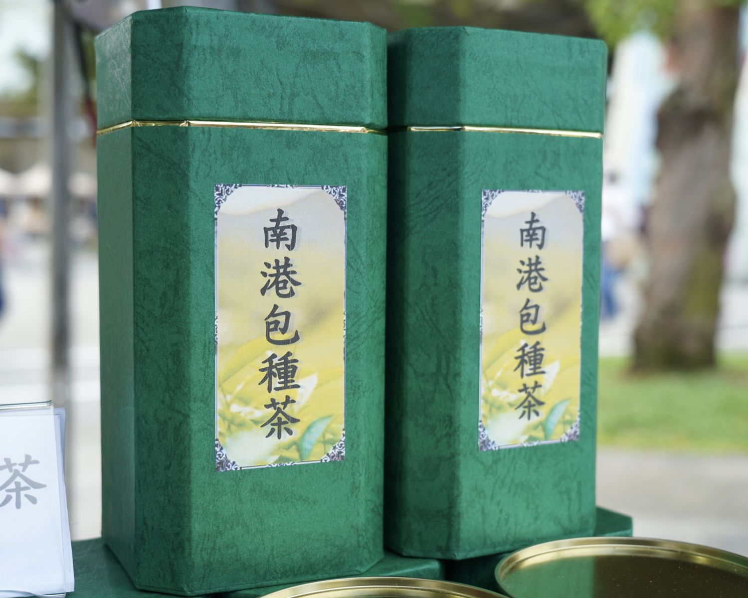 圖三 南港包種茶