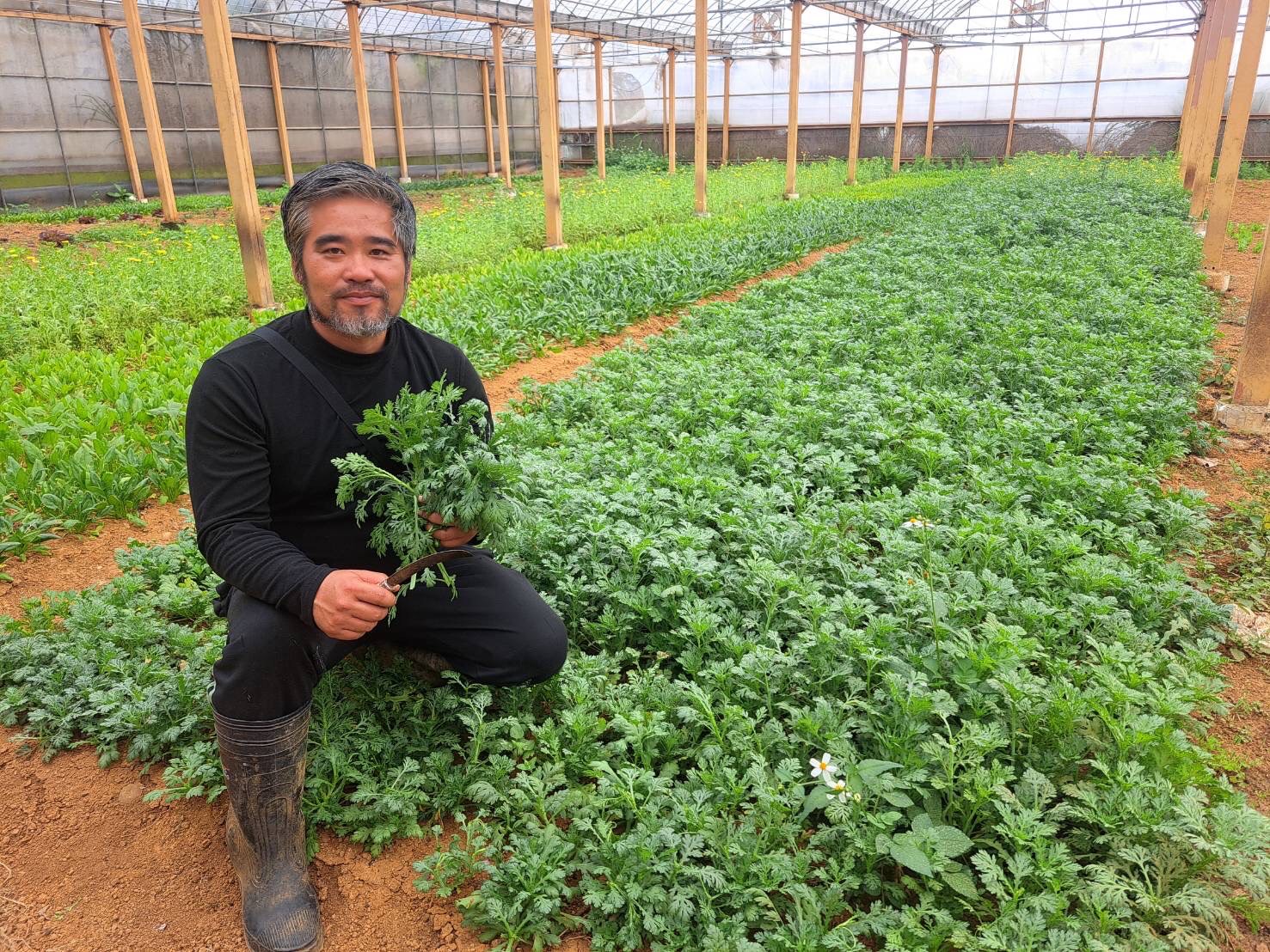 土地健康，作物才會真正健康