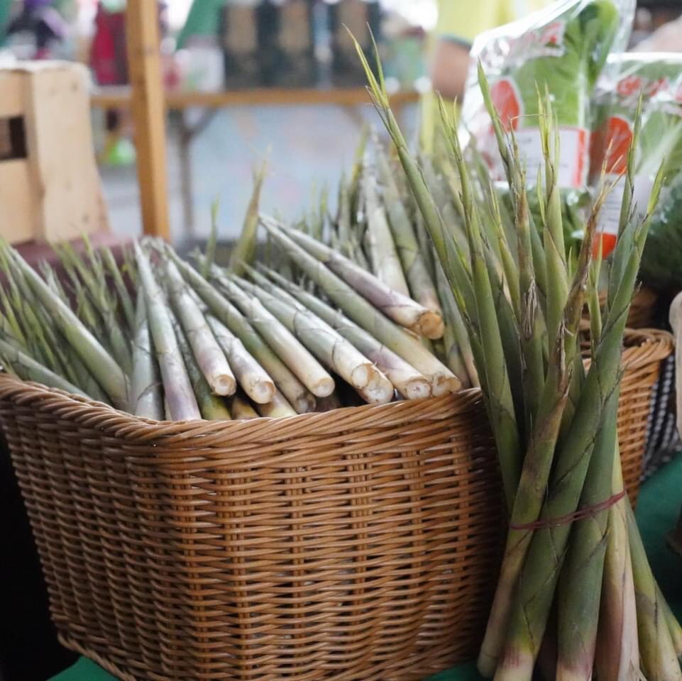 新鮮的箭筍外型細長、筍子的肉色偏白，不管是熱炒或煲湯料理都非常美味