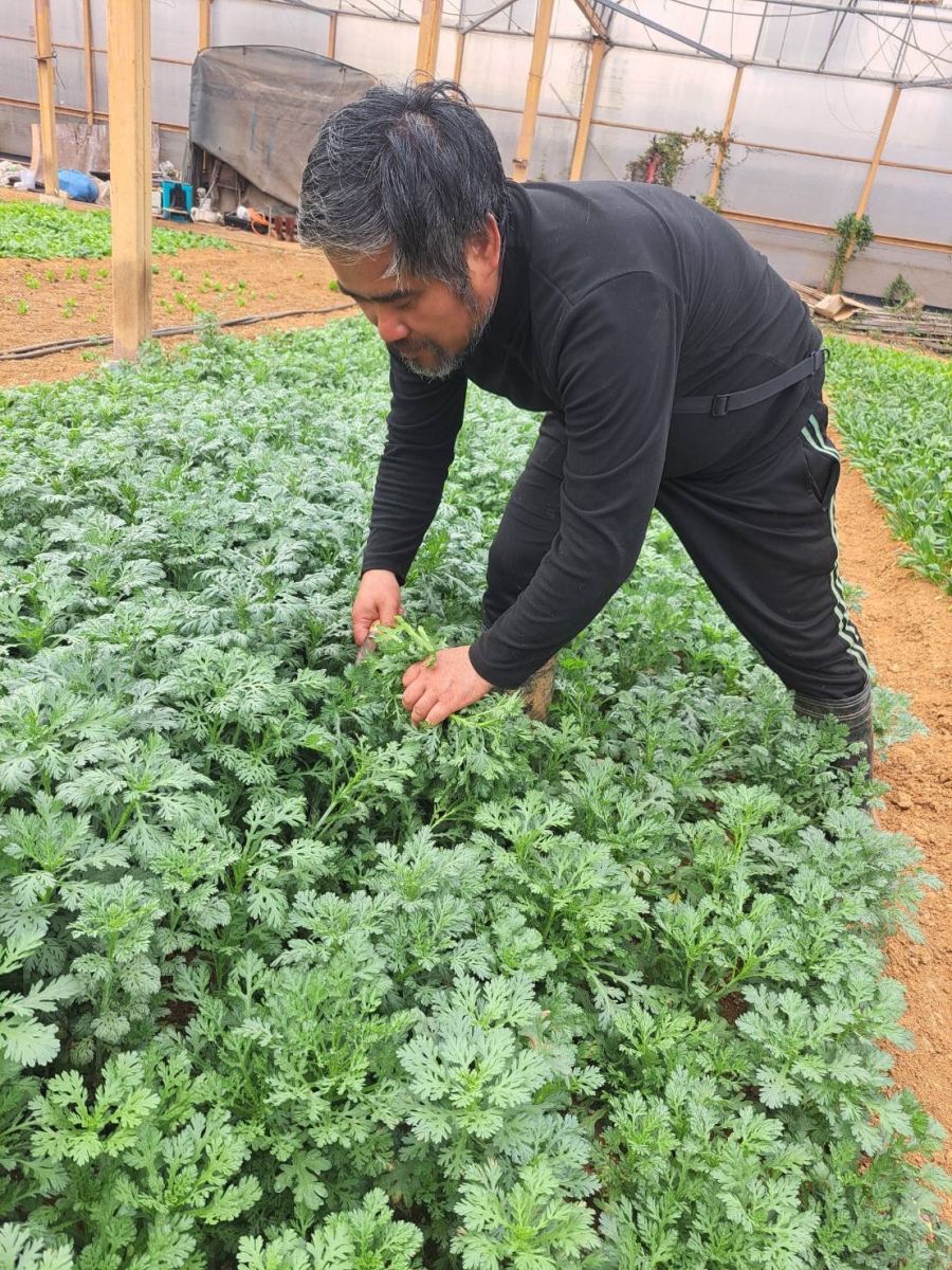 一步一腳印地有機探索