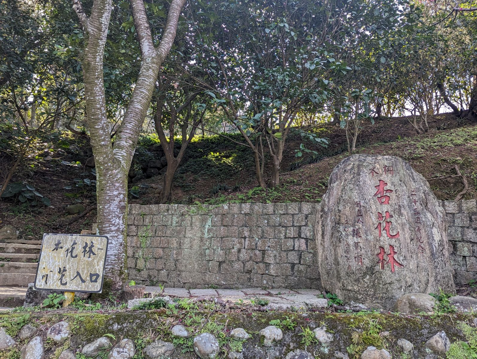杏花林入口