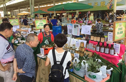 台灣本土的土肉桂