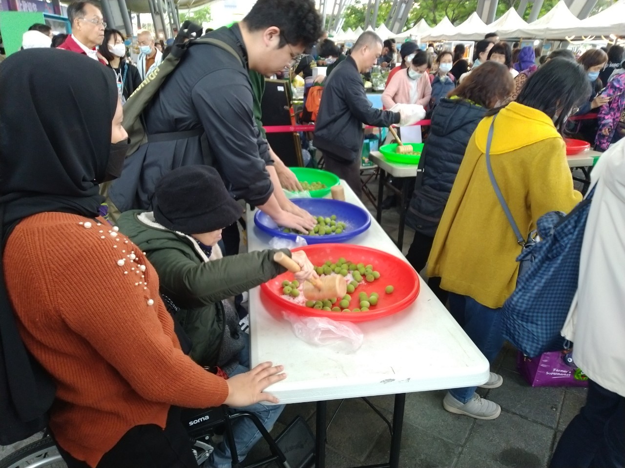 青梅食農教育-脆梅DIY