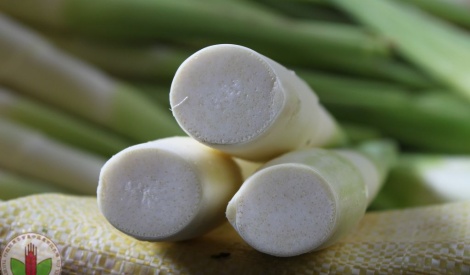 南投香菇、茭白筍直送台北　花博農民市集週末登場