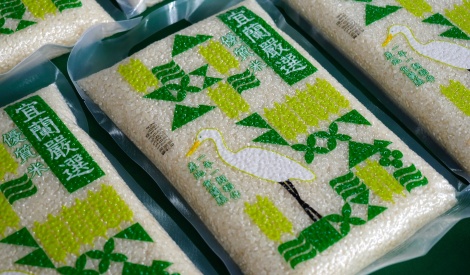 十月臺北花博農民市集 金秋豐收季 搗蛋樂登場