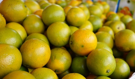 雲林柳丁香甜報到！花博農民市集本週末獻上最「橙」意的冬季滋味