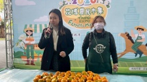 南投縣柑橘試吃品嚐