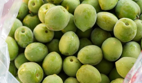 四月臺北花博農民市集 童趣四月天 市集交友行