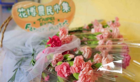 五月臺北花博農民市集 溫心五月天 愛馨綻花博