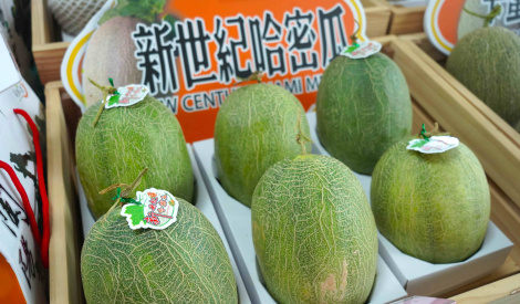 宜蘭哈密瓜清甜登場 臺北花博農民市集