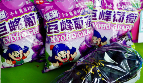 彰化葡萄農特產品展售活動 臺北花博農民市集