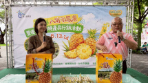 八嗡嗡鳳梨冰棒品嚐試吃