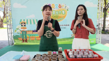 銀耳甜梨露DIY