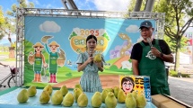 中秋文旦創意大變身