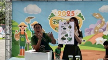 苦瓜茶DIY