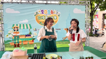 《肉肉小樂園，一起動手玩盆栽》多肉盆栽DIY