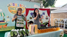 季節性農產品行銷活動