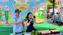 酪梨趣味活動(限20名)及品嚐